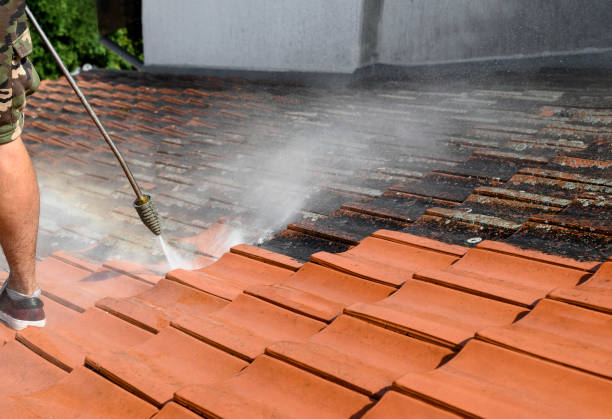 Best Roof Pressure Washing  in Sabina, OH